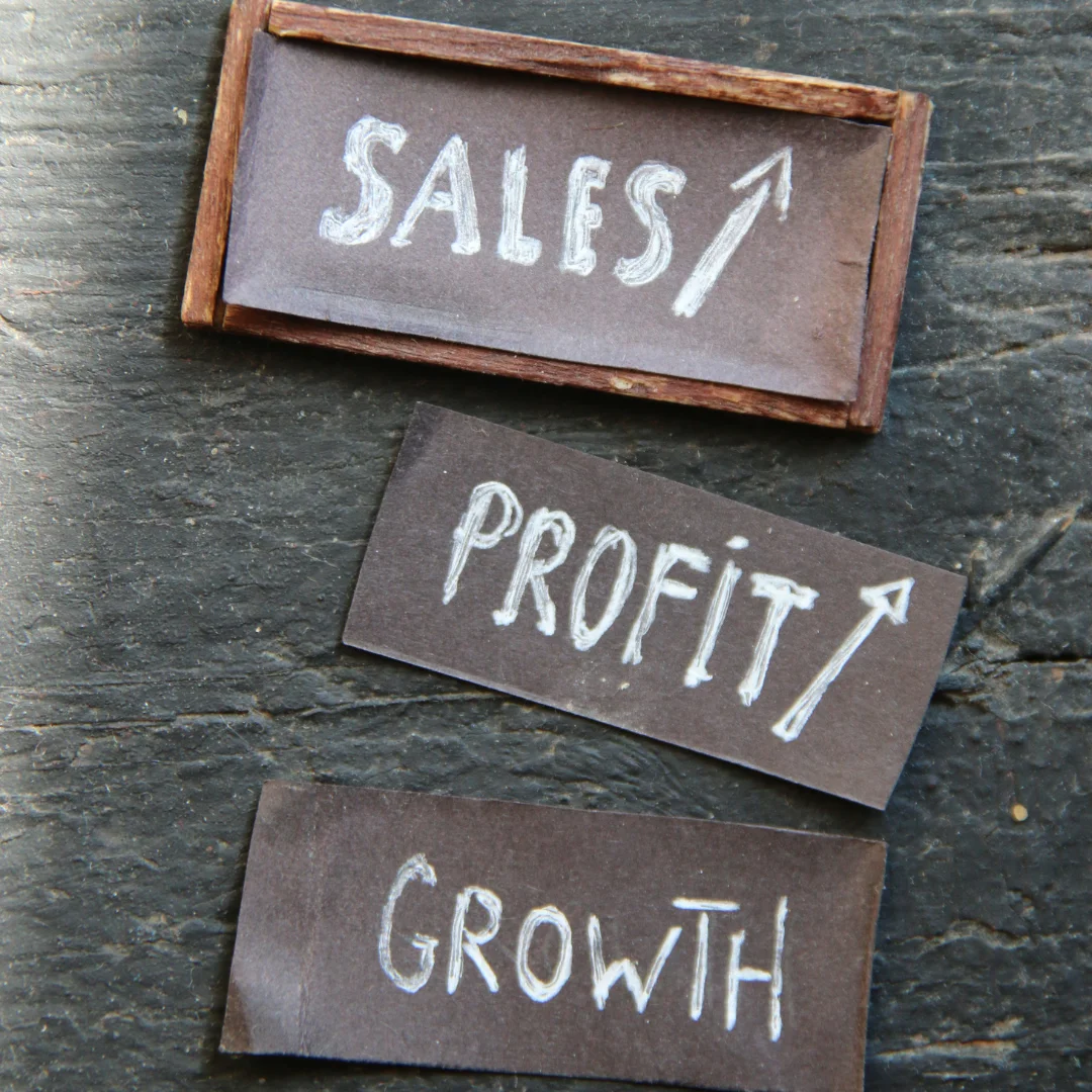 Business Growth Strategy